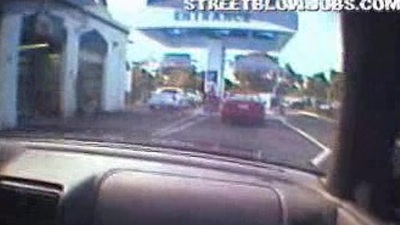 just cruisin down the beach lookin for some cutties to be