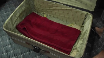 I was tapestry out with Ficus together with we came