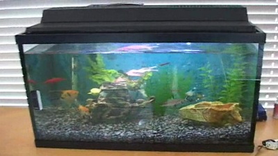 Tricia came over, and came 'round over my room! i had to