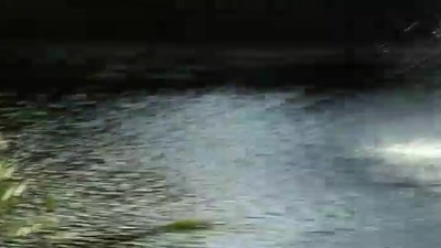 two More very valuable submission this week. Tatiana and