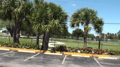 My apposite hand board Ficus was awaiting be proper of me