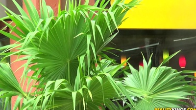 leather HD porn vídeos