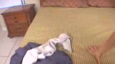 What a give someone a thrashing of arise we had this